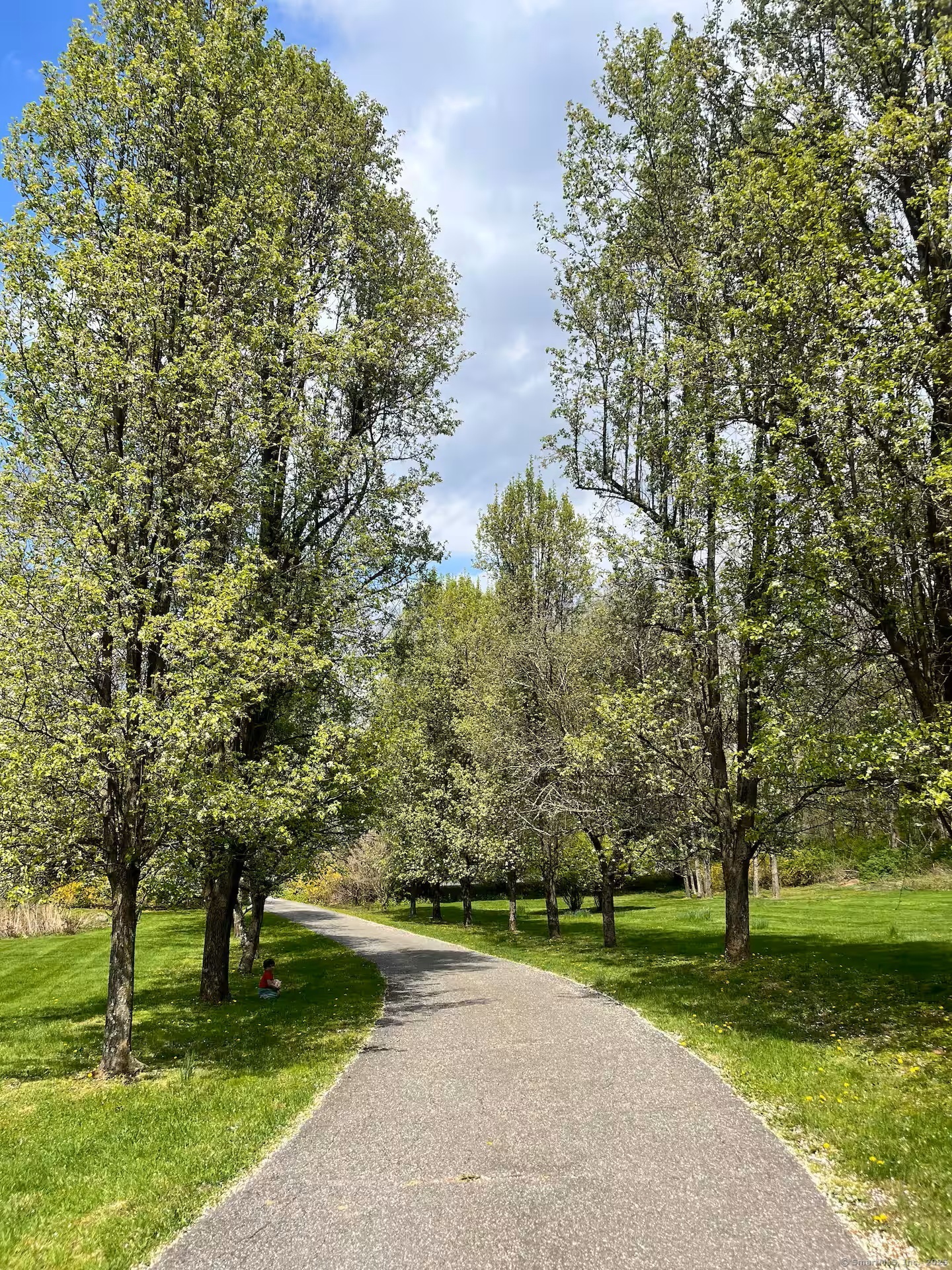 31 Cedar Hill Road New Milford, CT 06755 - Photo 37 of 40