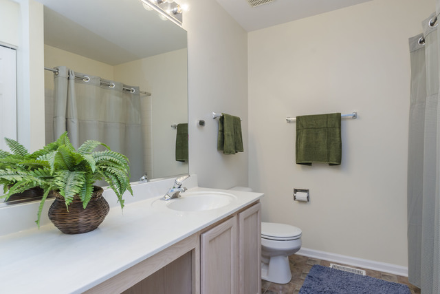 2441 Oneida Lane, Unit 2441 Naperville, IL 60563 - Photo 10 of 14