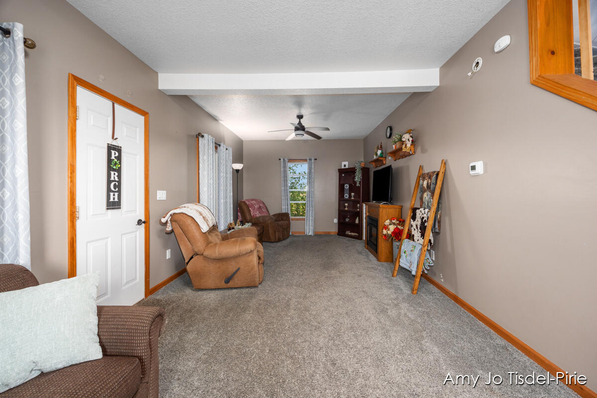 5060 North Neff Road Edmore, MI 48829 - Photo 4 of 25 IMG_1003