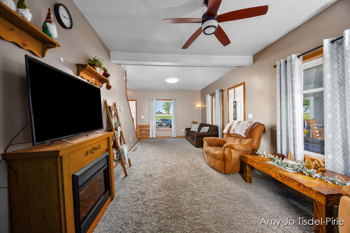 5060 North Neff Road Edmore, MI 48829 - Photo 5 of 25 IMG_1004