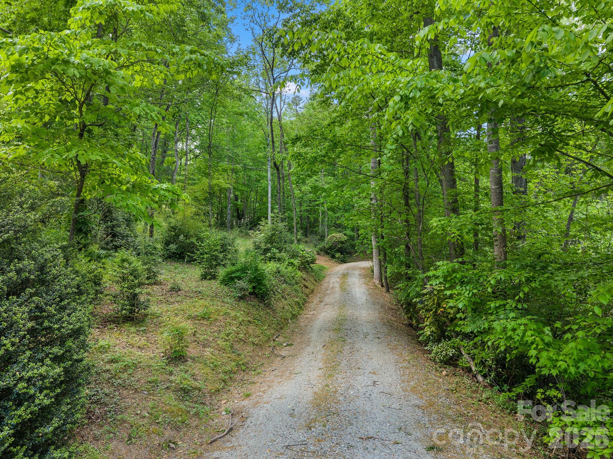 41 Red Bird Road Tryon, NC 28782 - Photo 37 of 37