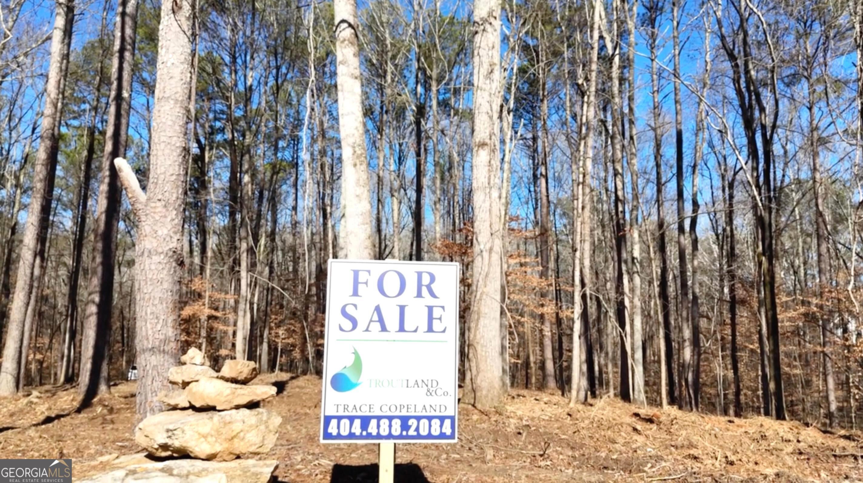 6147 Little Ridge Road, Unit LOT #2 Acworth, GA 30102 - Photo 3 of 29