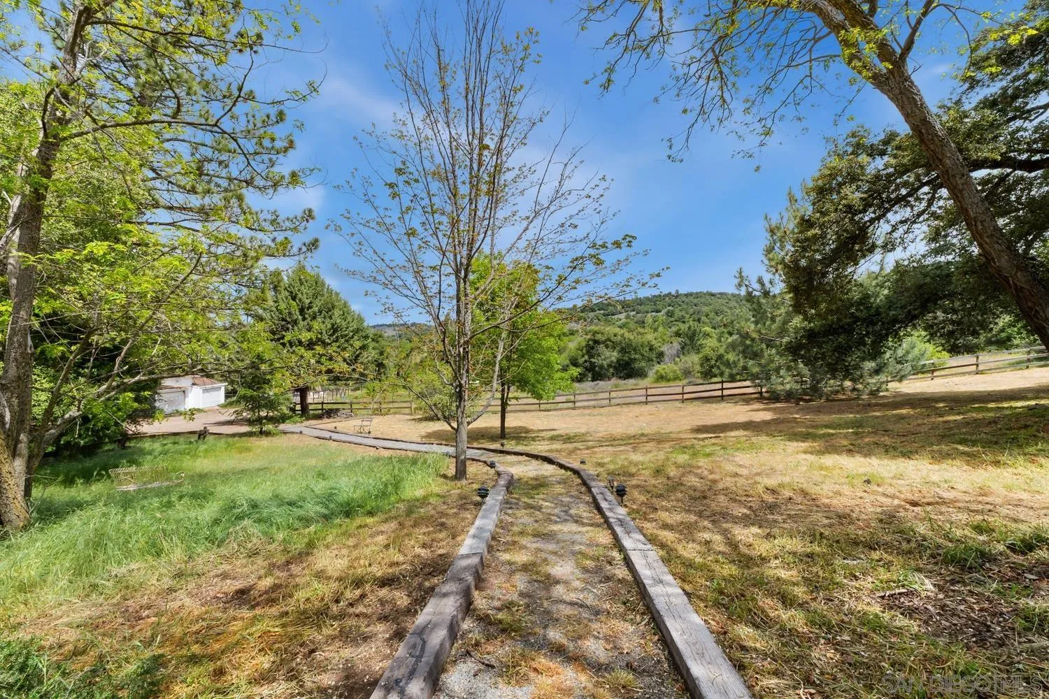 3517 Deer Lake Park Road Julian, CA 92036 - Photo 50 of 75 a view of yard with tree