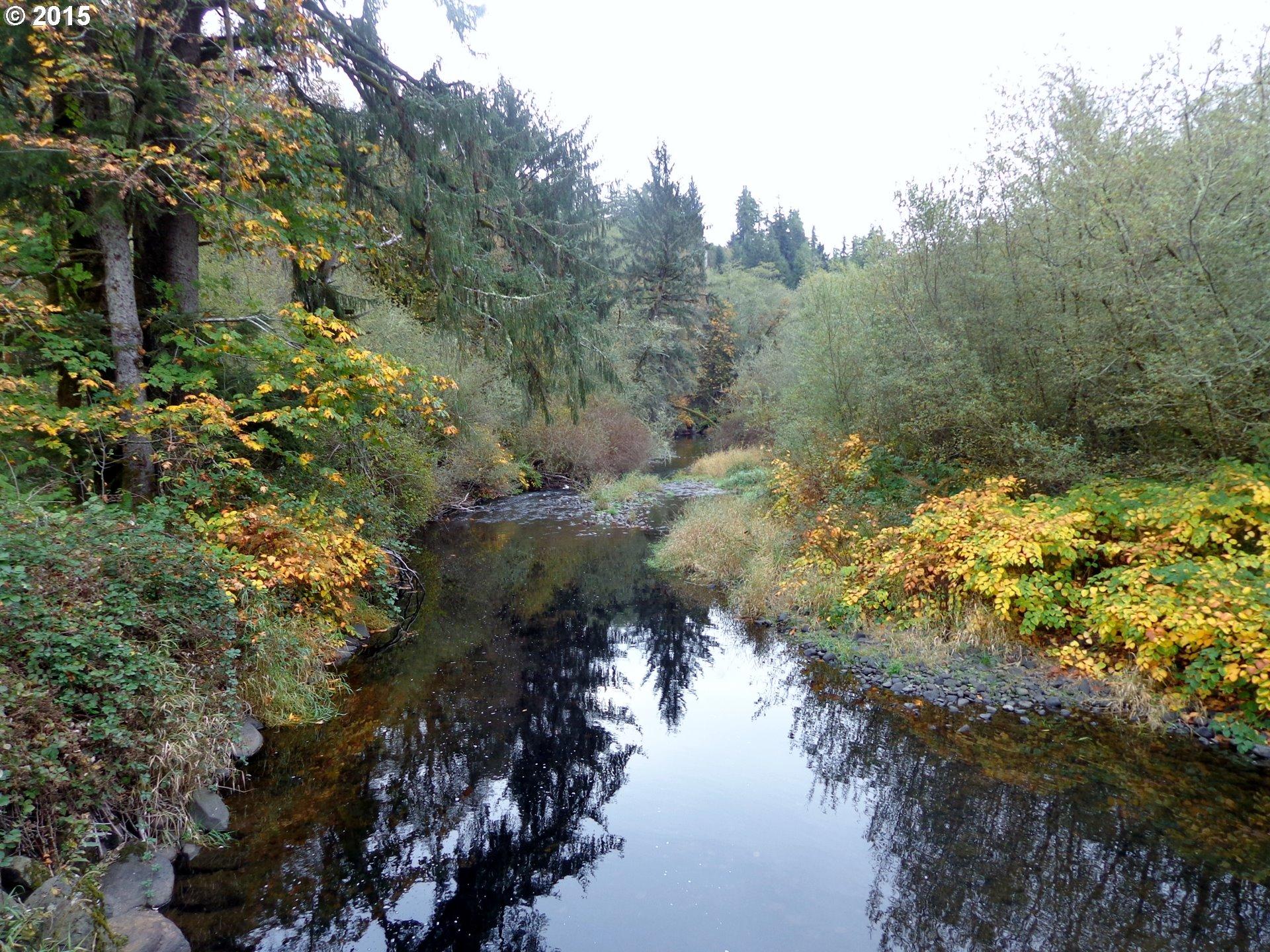 22505 Highway 101 South Beaver, OR 97112 - Photo 20 of 30 BeaverCreek2
