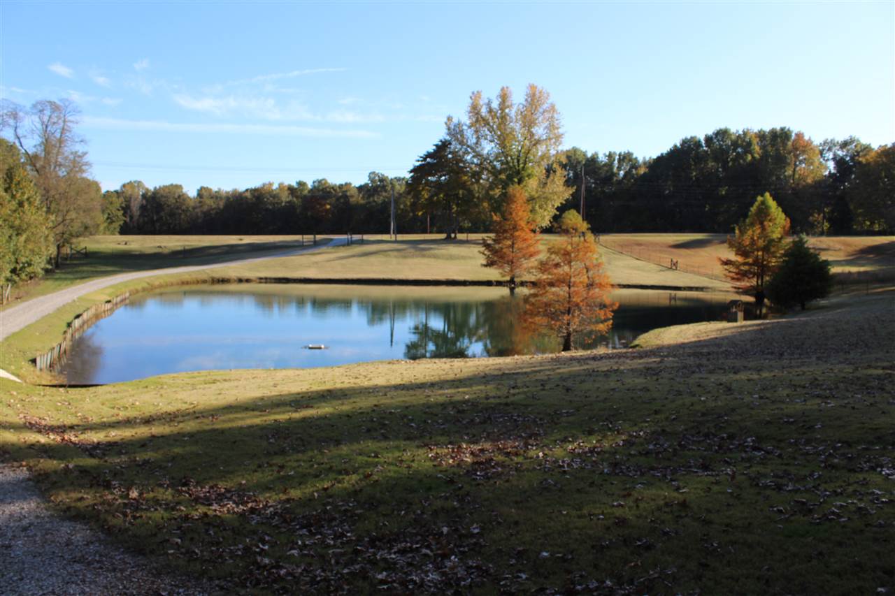 1945 Marshall Road Brighton, TN 38011 - Photo 4 of 25 LOCATED AT FRONT OF PROPERTY.,BETWEEN HOME AND ROAD.
