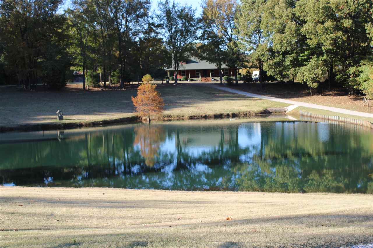 1945 Marshall Road Brighton, TN 38011 - Photo 6 of 25 VIEW FROM ROAD.