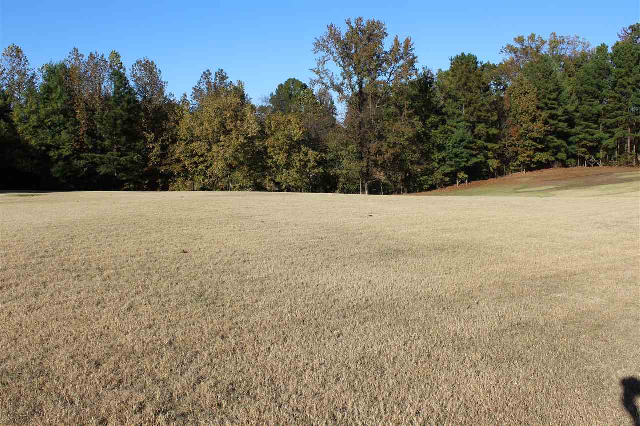 1945 Marshall Road Brighton, TN 38011 - Photo 7 of 25