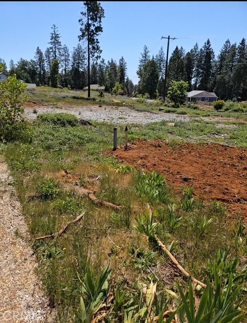 14146 Creston Road Magalia, CA 95954 - Photo 3 of 4