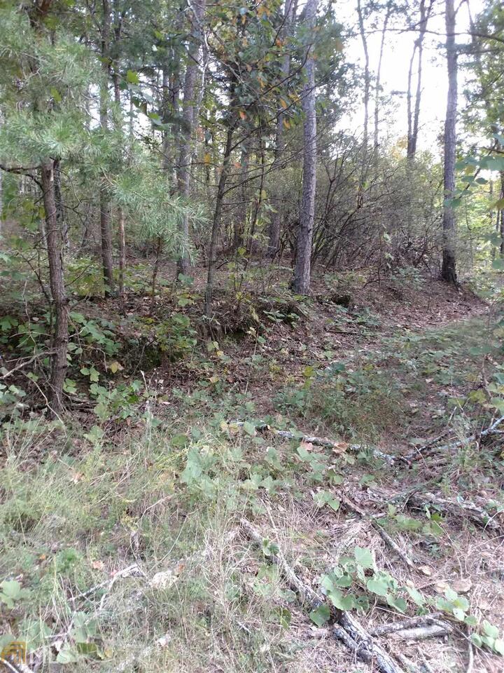 0 Fouche Gap Road, Unit 9 Rome, GA 30165 - Photo 1 of 1 a view of a forest with trees in the background