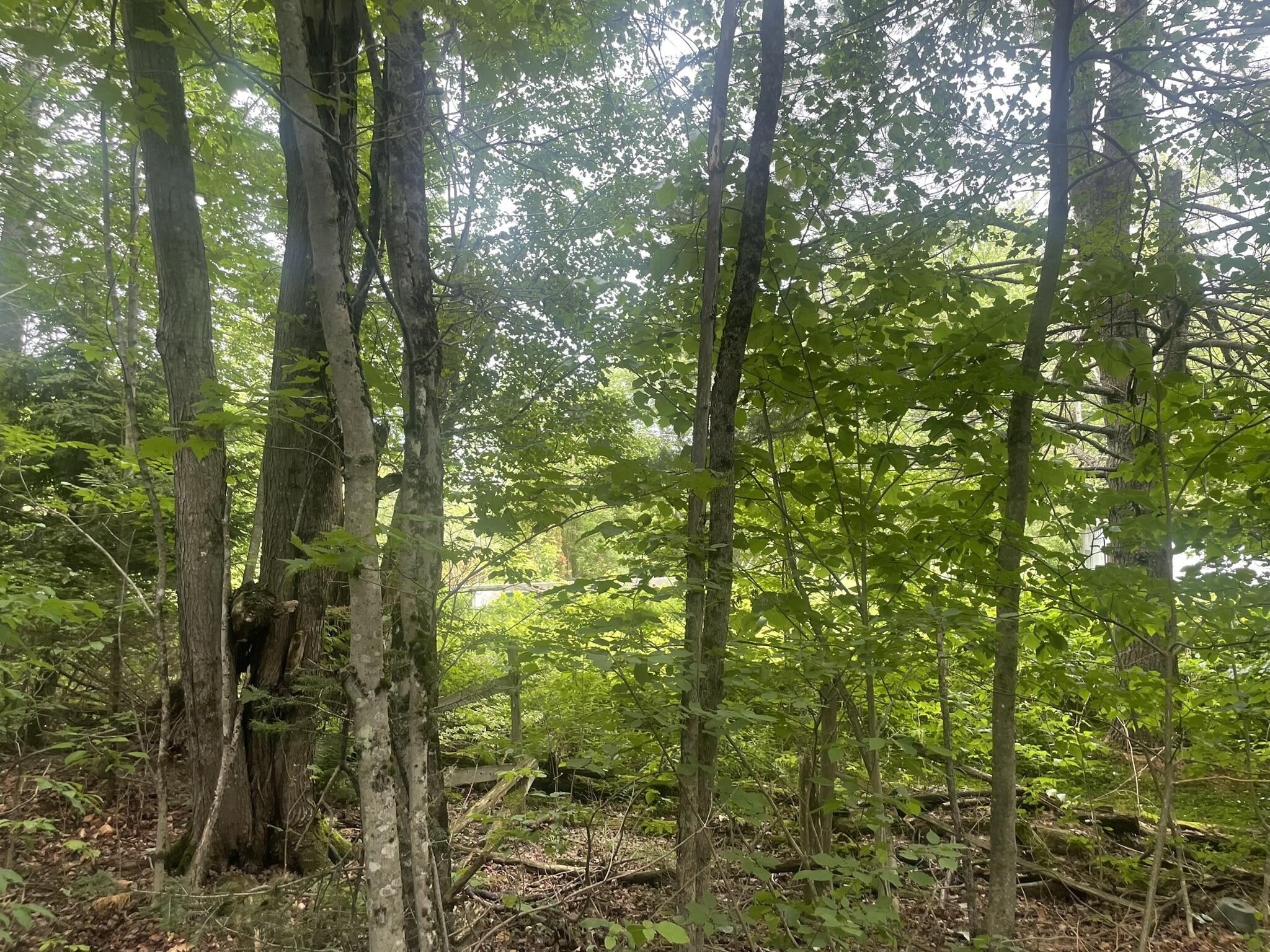 1075 Hill Road Clinton, ME 04927 - Photo 135 of 172 IMG_6233