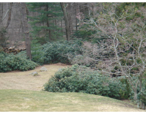 170 Suffolk Road Newton, MA 02467 - Photo 18 of 22