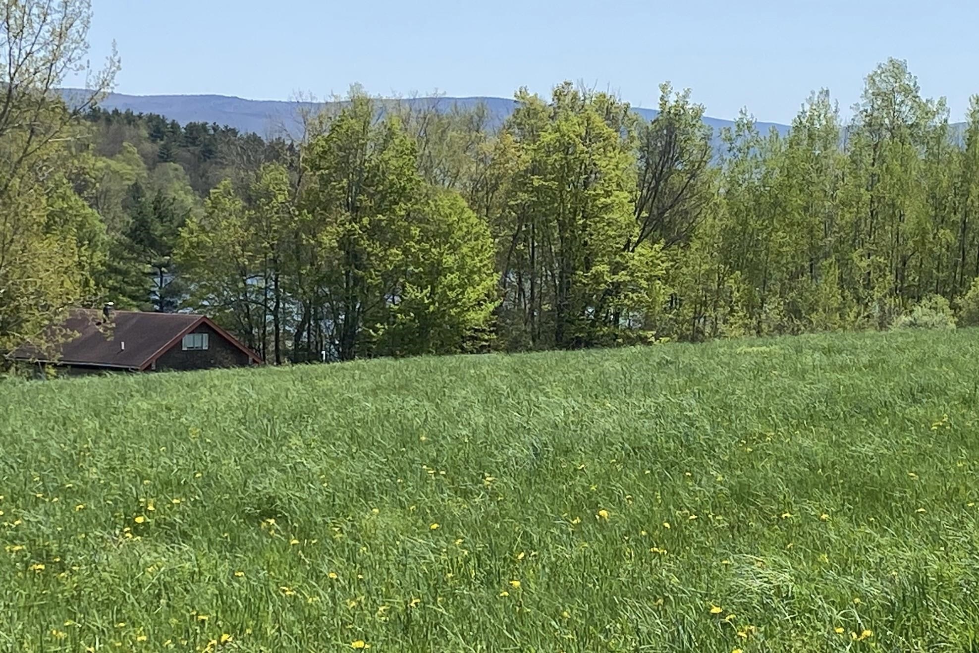 0 East Road Tinmouth, VT 05773 - Photo 33 of 34
