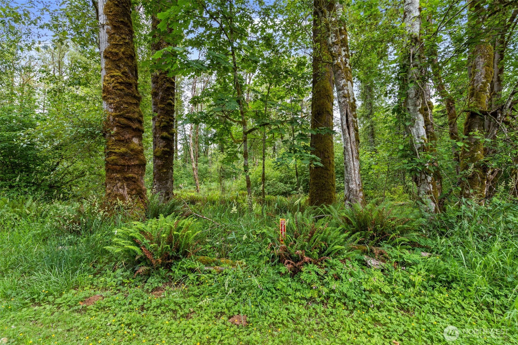 -xxx Harmony Road Mossyrock, WA 98564 - Photo 17 of 19