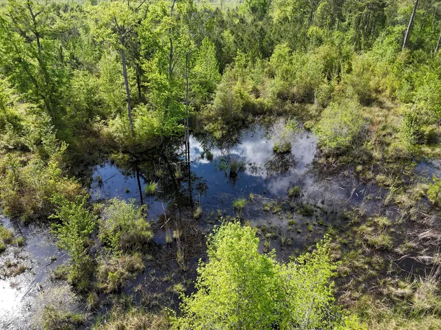 $399,900 | 0 305th Highway, Midville, GA 30441