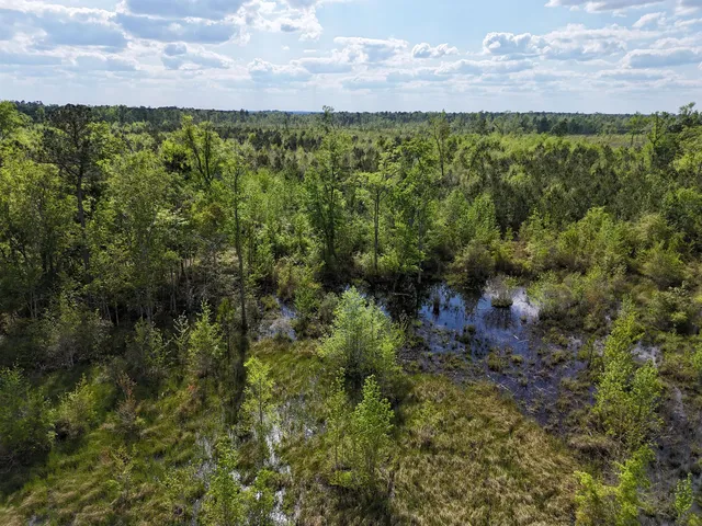 $399,900 | 0 305th Highway, Midville, GA 30441