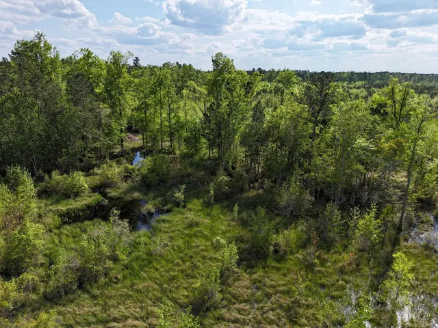 $399,900 | 0 305th Highway, Midville, GA 30441