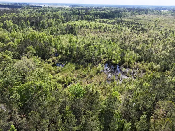 $399,900 | 0 305th Highway, Midville, GA 30441
