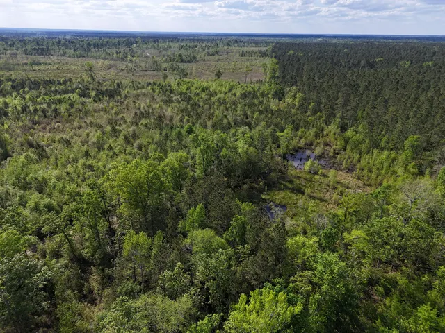 $399,900 | 0 305th Highway, Midville, GA 30441