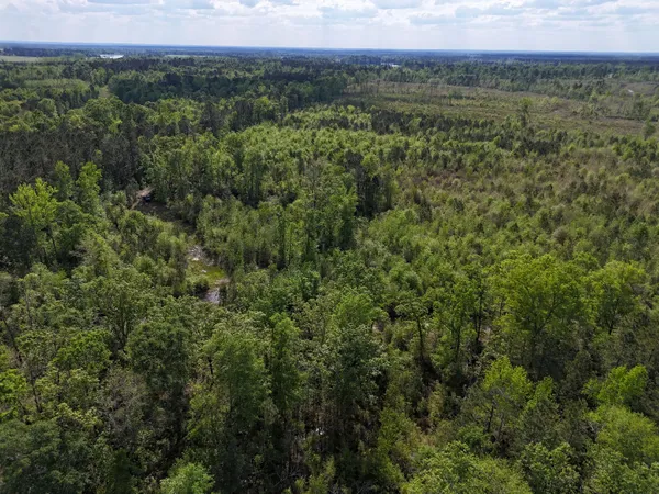 $399,900 | 0 305th Highway, Midville, GA 30441