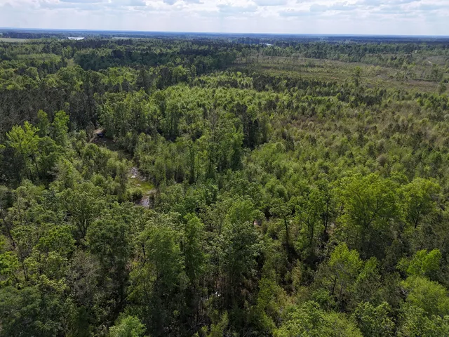 $399,900 | 0 305th Highway, Midville, GA 30441