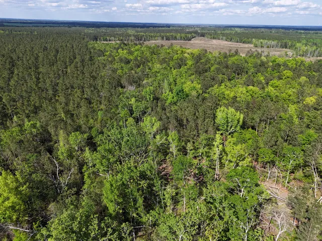 $399,900 | 0 305th Highway, Midville, GA 30441