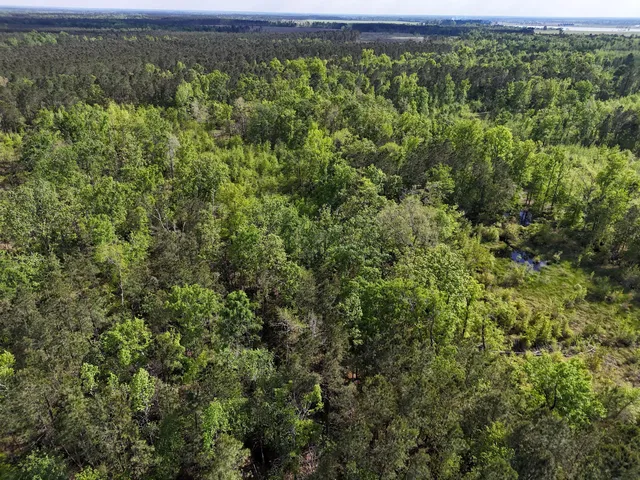 $399,900 | 0 305th Highway, Midville, GA 30441