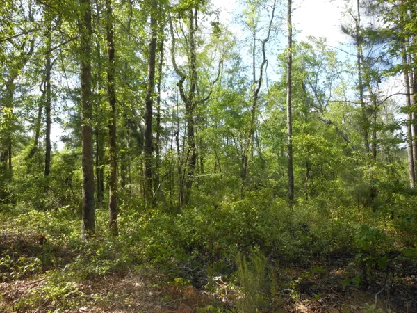 $399,900 | 0 305th Highway, Midville, GA 30441