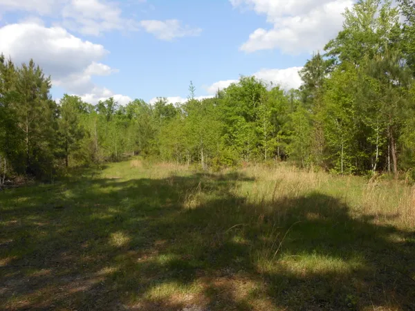 $399,900 | 0 305th Highway, Midville, GA 30441