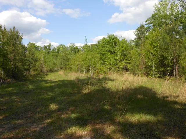 $399,900 | 0 305th Highway, Midville, GA 30441