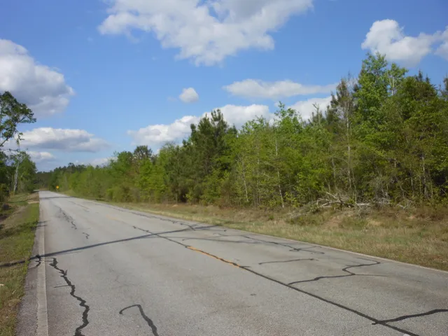 $399,900 | 0 305th Highway, Midville, GA 30441