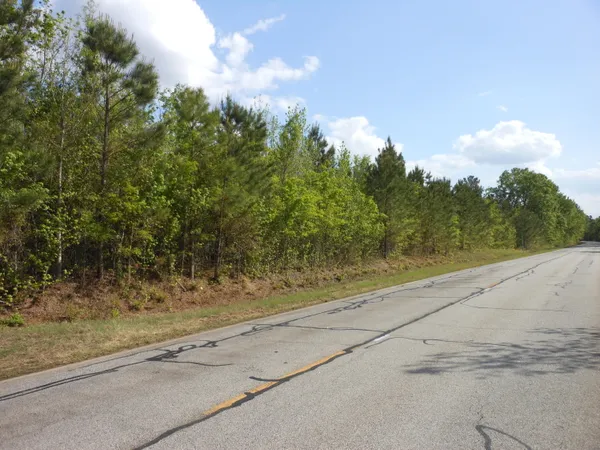 $399,900 | 0 305th Highway, Midville, GA 30441