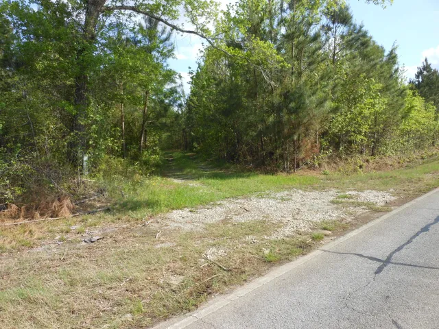 $399,900 | 0 305th Highway, Midville, GA 30441