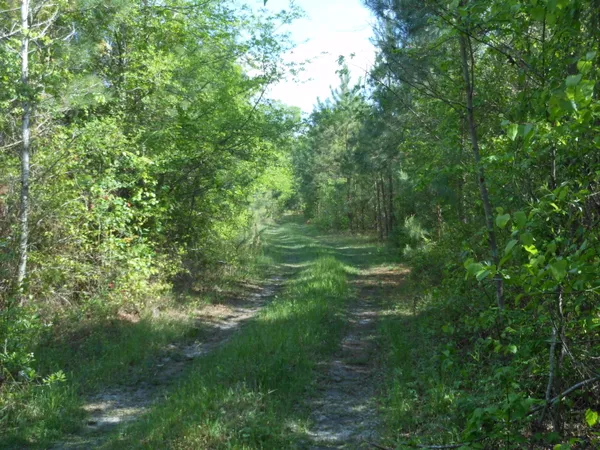 $399,900 | 0 305th Highway, Midville, GA 30441