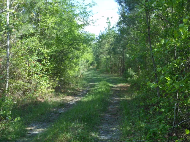 $399,900 | 0 305th Highway, Midville, GA 30441