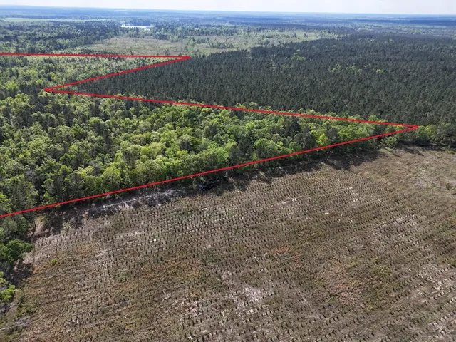 $399,900 | 0 305th Highway, Midville, GA 30441