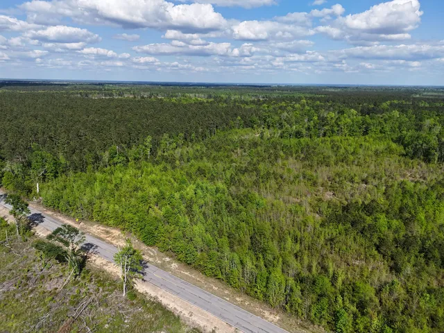 $399,900 | 0 305th Highway, Midville, GA 30441