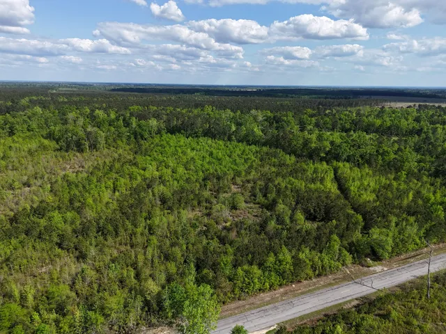 $399,900 | 0 305th Highway, Midville, GA 30441