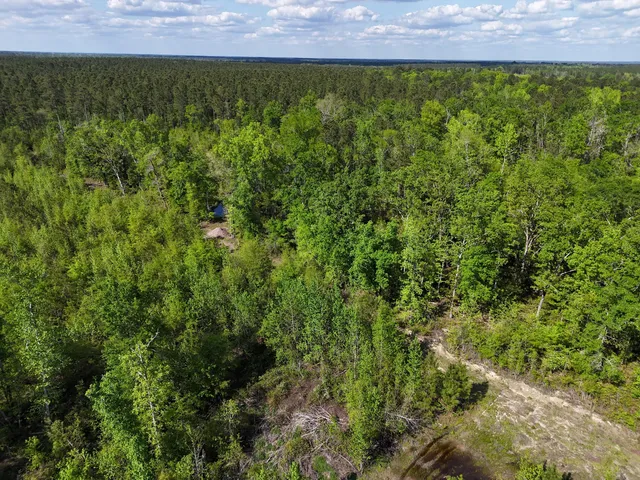 $399,900 | 0 305th Highway, Midville, GA 30441