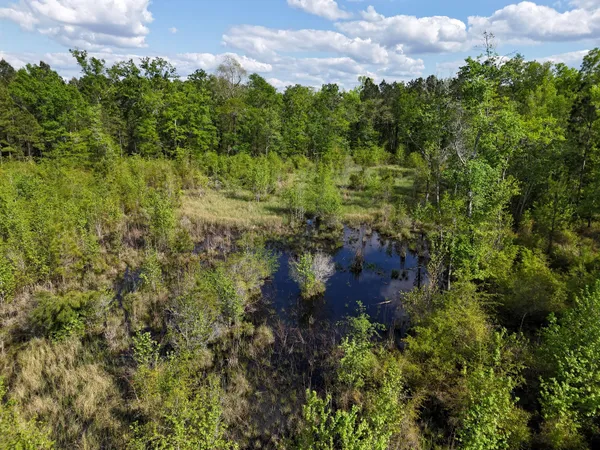 $399,900 | 0 305th Highway, Midville, GA 30441
