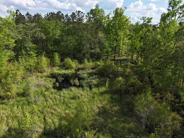 $399,900 | 0 305th Highway, Midville, GA 30441