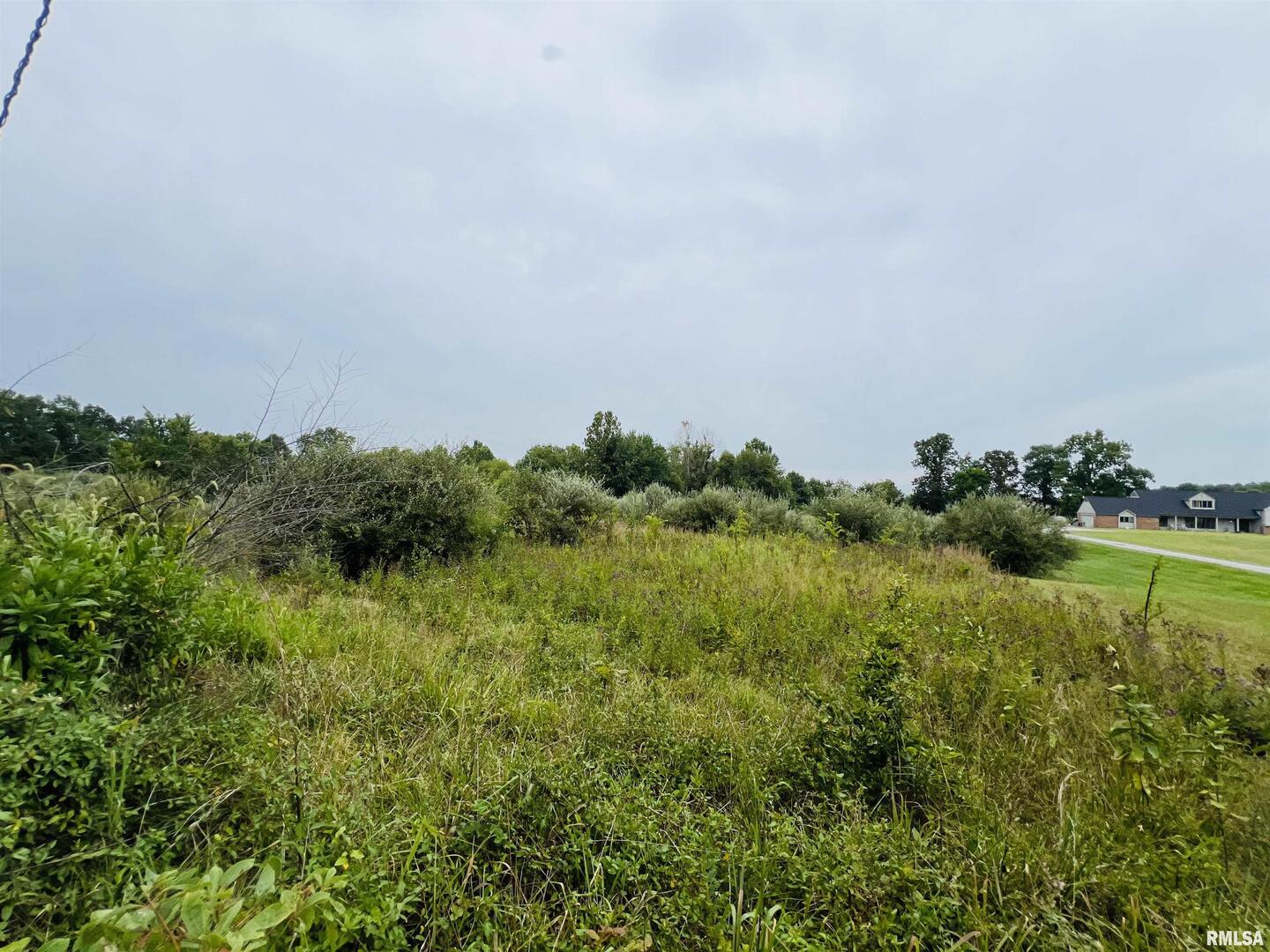 0 South County Line Road West Frankfort, IL 62896 - Photo 10 of 12 Gallery Image 10