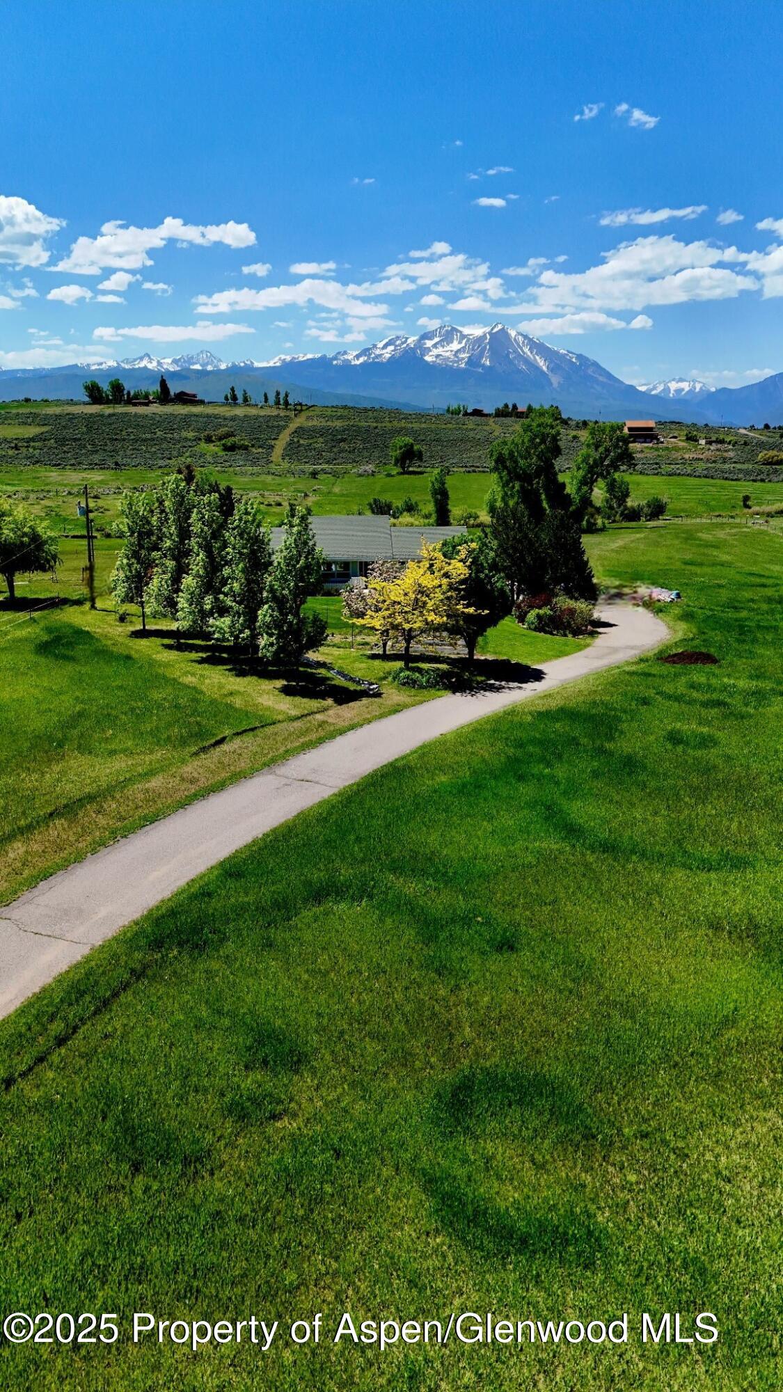 4100 County Road 103 Carbondale, CO 81623 - Photo 2 of 43 a view of a garden with an ocean beach