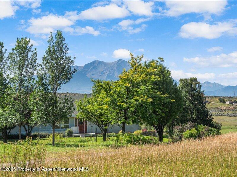 4100 County Road 103 Carbondale, CO 81623 - Photo 5 of 43 a backyard of a house with lots of green space