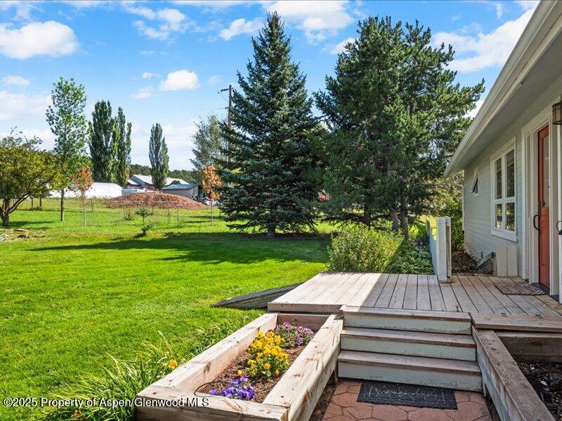 4100 County Road 103 Carbondale, CO 81623 - Photo 8 of 43 a view of a backyard with sitting area