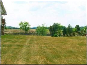 482 Woods Road Bluff City, TN 37618 - Photo 3 of 6 Photo 3