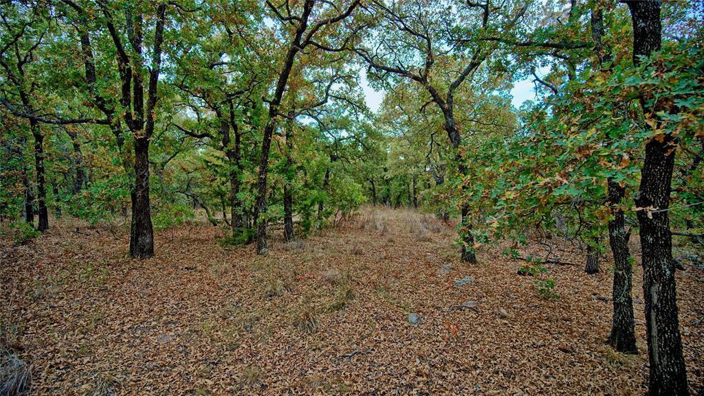 Tbd Dixie School Road Nocona, TX 76255 - Photo 4 of 38 Gallery Image 4