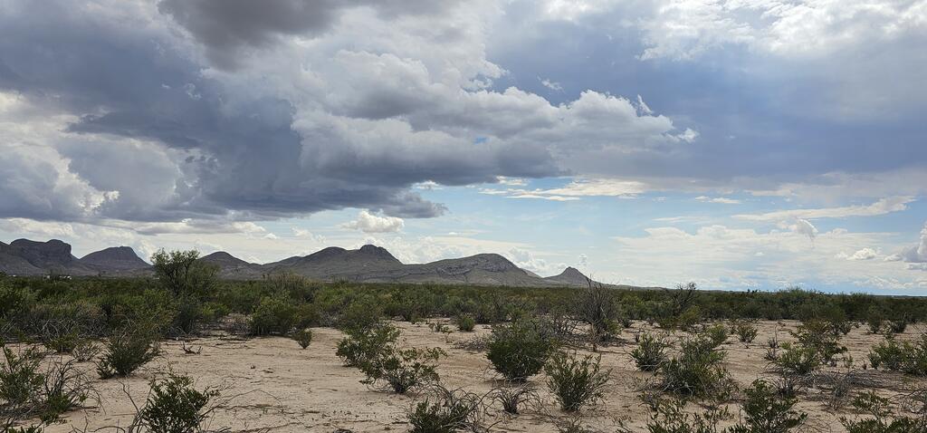 403 East Este Road Alpine, TX 79830 - Photo 26 of 32 Gallery Image 26