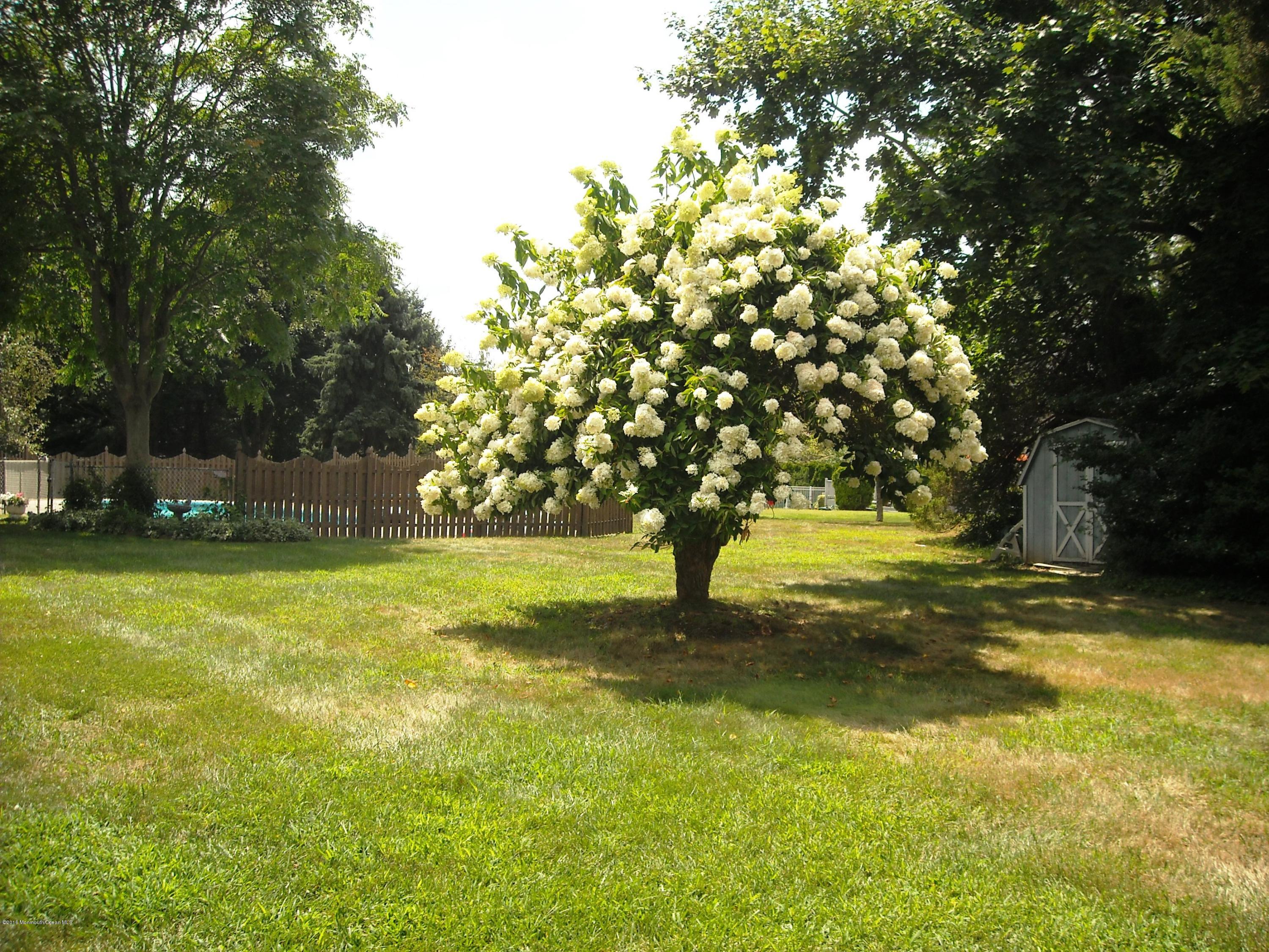 1505 Gully Road Wall, NJ 07719 - Photo 26 of 29 back yard.