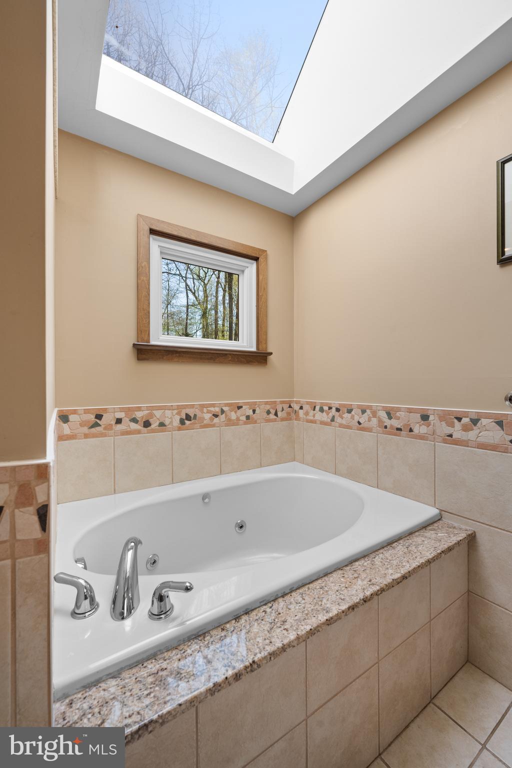 650 Strafford Circle Wayne, PA 19087 - Photo 24 of 45 Skylights in primary bath