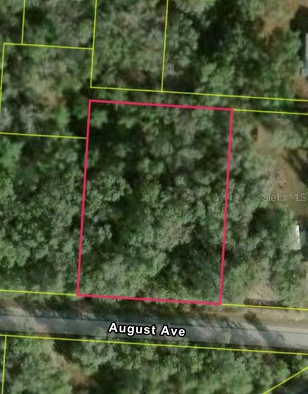 34039 August Avenue Webster, FL 33597 - Photo 2 of 3